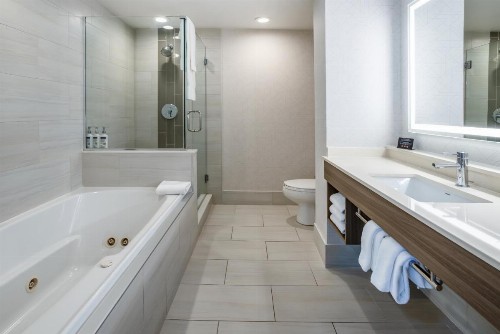 Holiday Inn Express and Suites Tampa I-75 at Bruce B. Downs an IHG Hotel - image 24