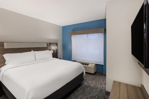 Holiday Inn Express and Suites Tampa I-75 at Bruce B. Downs an IHG Hotel - image 46