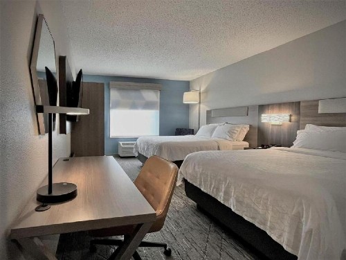 Holiday Inn Express and Suites Tampa I-75 at Bruce B. Downs an IHG Hotel - image 6