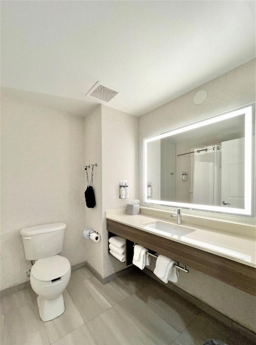 Holiday Inn Express and Suites Tampa I-75 at Bruce B. Downs an IHG Hotel - image 7