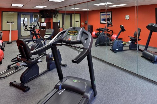 Holiday Inn Express Hotel & Suites Tampa-Rocky Point Island an IHG Hotel - image 34