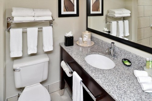 Holiday Inn Express Hotel & Suites Tampa-Rocky Point Island an IHG Hotel - image 46