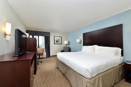 Holiday Inn Express Hotel & Suites Tampa-Rocky Point Island an IHG Hotel - image 5