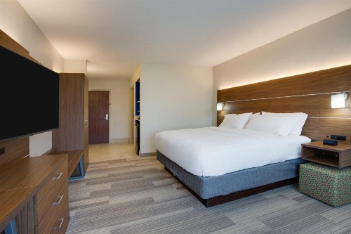 Holiday Inn Express Hotel & Suites Tampa-Fairgrounds-Casino an IHG Hotel - image 36
