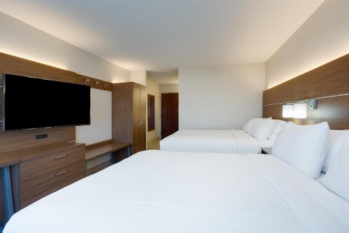 Holiday Inn Express Hotel & Suites Tampa-Fairgrounds-Casino an IHG Hotel - image 37