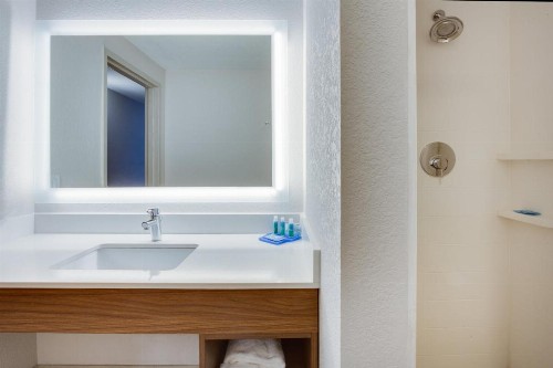 Holiday Inn Express Hotel & Suites Tampa-Fairgrounds-Casino an IHG Hotel - image 39