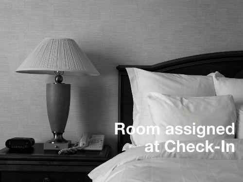 Holiday Inn Express Hotel & Suites Tampa-Fairgrounds-Casino an IHG Hotel - image 4