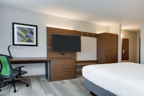 Holiday Inn Express Hotel & Suites Tampa-Fairgrounds-Casino an IHG Hotel - image 41