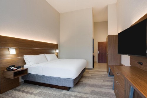 Holiday Inn Express Hotel & Suites Tampa-Fairgrounds-Casino an IHG Hotel - image 48