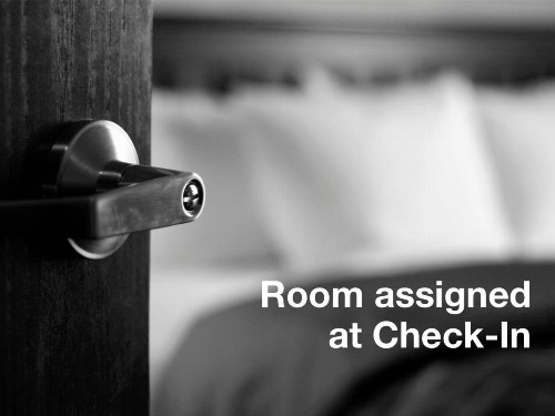 Holiday Inn Express Hotel & Suites Tampa-Fairgrounds-Casino an IHG Hotel - image 5
