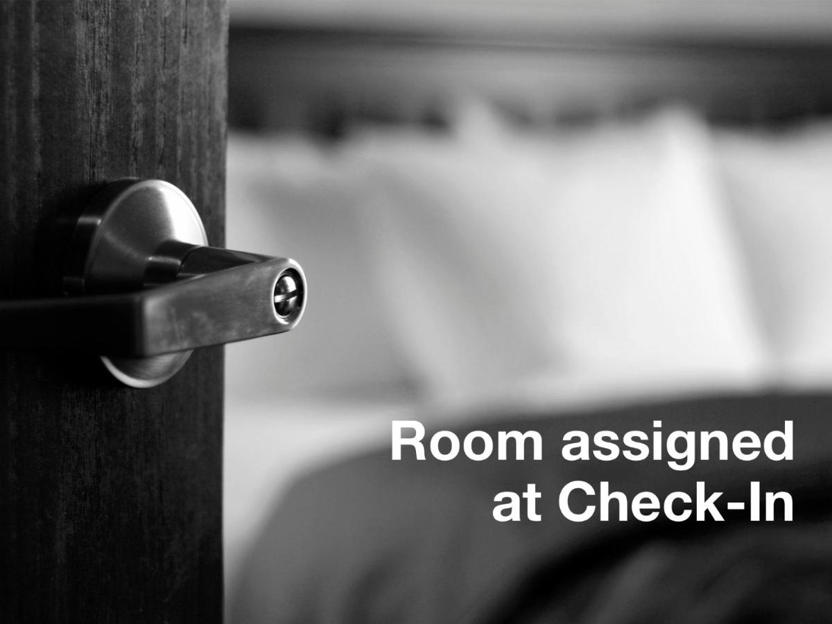 Holiday Inn Express Hotel & Suites Tampa-Fairgrounds-Casino an IHG Hotel - image 5