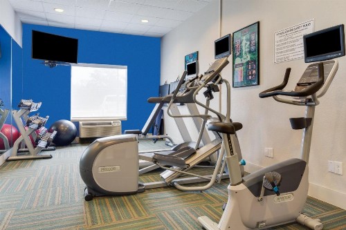 Holiday Inn Express Hotel & Suites Tampa-Fairgrounds-Casino an IHG Hotel - image 9
