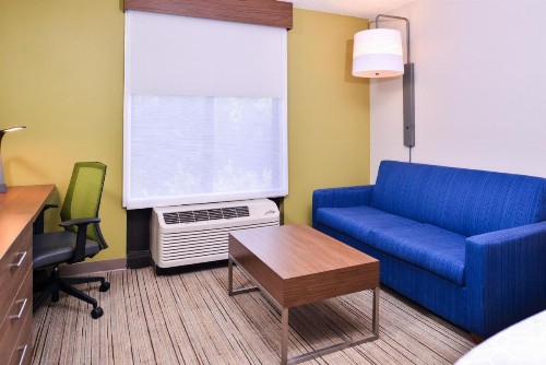 Holiday Inn Express Hotel & Suites Tampa-Anderson Road-Veterans Exp an IHG Hotel - image 11