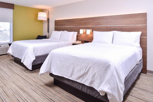 Holiday Inn Express Hotel & Suites Tampa-Anderson Road-Veterans Exp an IHG Hotel - image 12