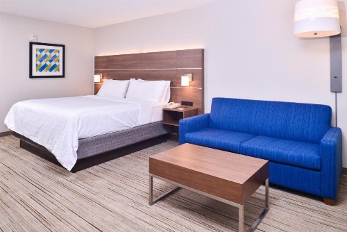 Holiday Inn Express Hotel & Suites Tampa-Anderson Road-Veterans Exp an IHG Hotel - image 14