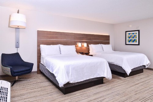 Holiday Inn Express Hotel & Suites Tampa-Anderson Road-Veterans Exp an IHG Hotel - image 16