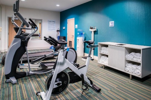Holiday Inn Express Hotel & Suites Tampa-Anderson Road-Veterans Exp an IHG Hotel - image 28