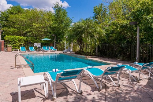 Holiday Inn Express Hotel & Suites Tampa-Anderson Road-Veterans Exp an IHG Hotel - image 29