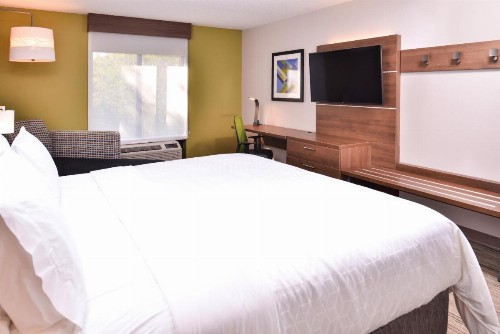Holiday Inn Express Hotel & Suites Tampa-Anderson Road-Veterans Exp an IHG Hotel - image 36