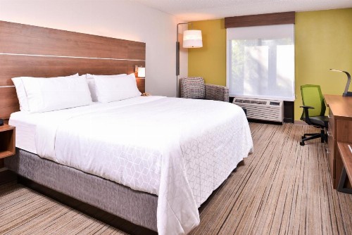Holiday Inn Express Hotel & Suites Tampa-Anderson Road-Veterans Exp an IHG Hotel - image 44