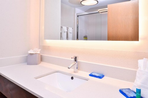 Holiday Inn Express Hotel & Suites Tampa-Anderson Road-Veterans Exp an IHG Hotel - image 7