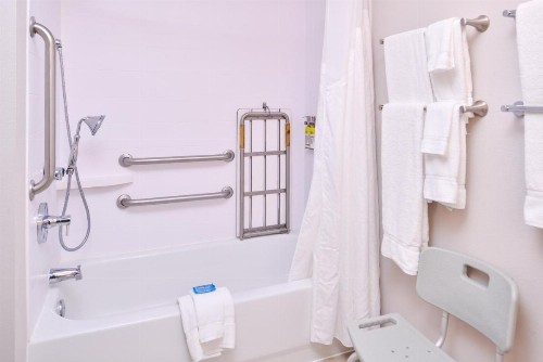 Holiday Inn Express Hotel & Suites Tampa-Anderson Road-Veterans Exp an IHG Hotel - image 9