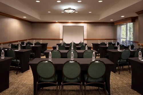 SpringHill Suites by Marriott Tampa Westshore - image 16