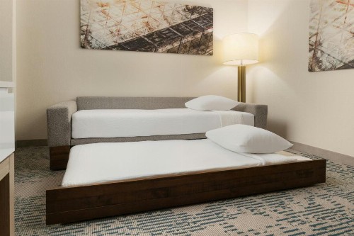 SpringHill Suites by Marriott Tampa Westshore - image 27