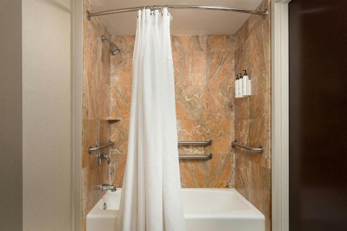 SpringHill Suites by Marriott Tampa Westshore - image 29