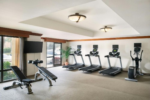 SpringHill Suites by Marriott Tampa Westshore - image 32