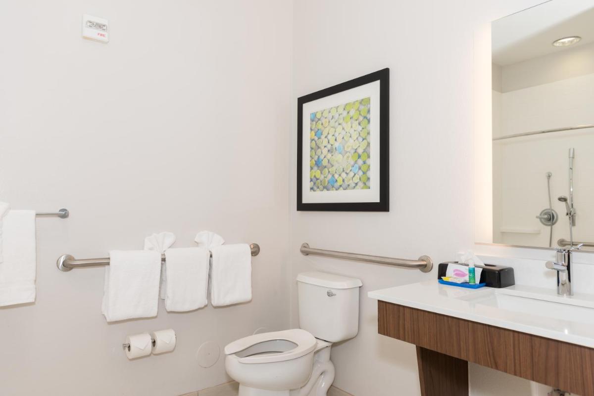 Holiday Inn Express Hotel & Suites Tampa-USF-Busch Gardens an IHG Hotel - image 2