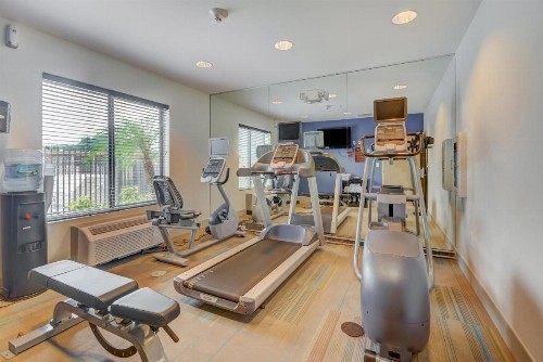 Holiday Inn Express Hotel & Suites Tampa-USF-Busch Gardens an IHG Hotel - image 23