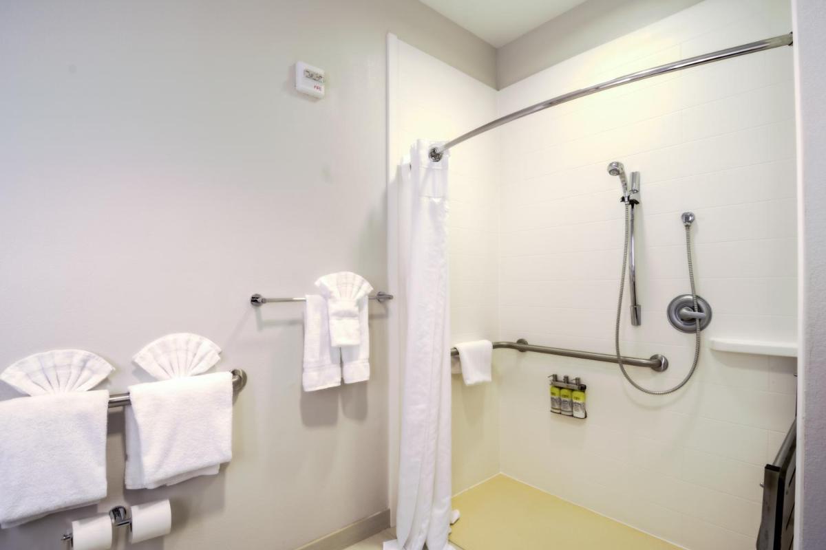 Holiday Inn Express Hotel & Suites Tampa-USF-Busch Gardens an IHG Hotel - image 3