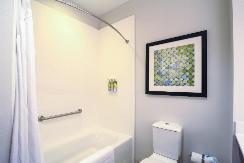 Holiday Inn Express Hotel & Suites Tampa-USF-Busch Gardens an IHG Hotel - image 30