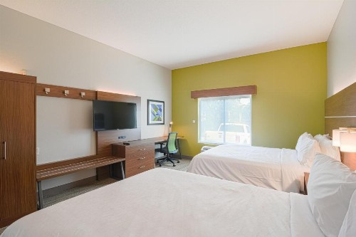 Holiday Inn Express Hotel & Suites Tampa-USF-Busch Gardens an IHG Hotel - image 35