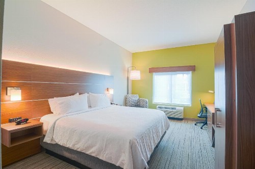 Holiday Inn Express Hotel & Suites Tampa-USF-Busch Gardens an IHG Hotel - image 37
