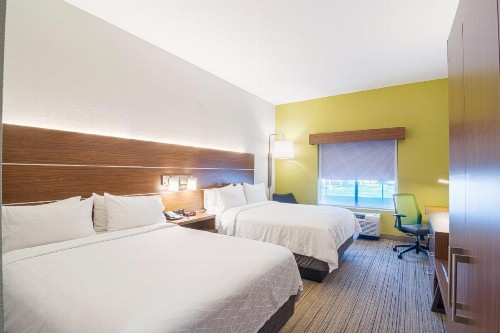 Holiday Inn Express Hotel & Suites Tampa-USF-Busch Gardens an IHG Hotel - image 46