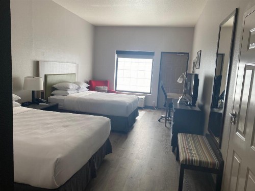 Country Inn & Suites by Radisson Tampa RJ Stadium - image 42