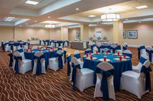 Four Points by Sheraton Suites Tampa Airport Westshore - image 30
