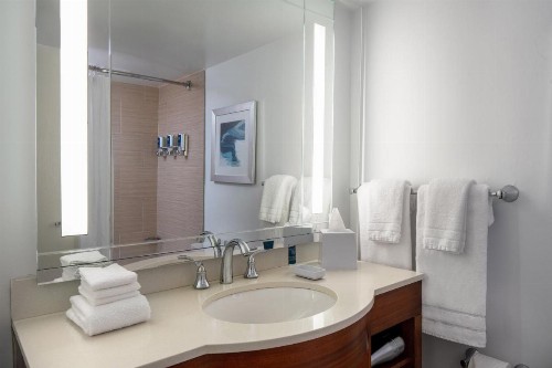 Four Points by Sheraton Suites Tampa Airport Westshore - image 31
