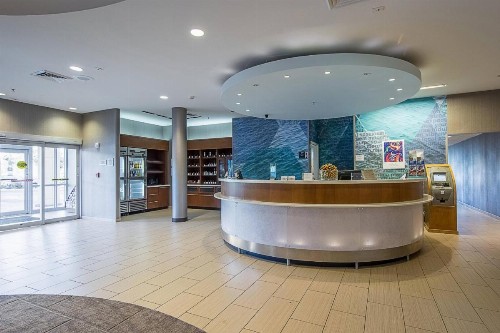 SpringHill Suites Tampa North/Tampa Palms - image 4