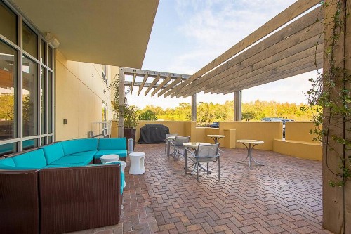 SpringHill Suites Tampa North/Tampa Palms - image 5
