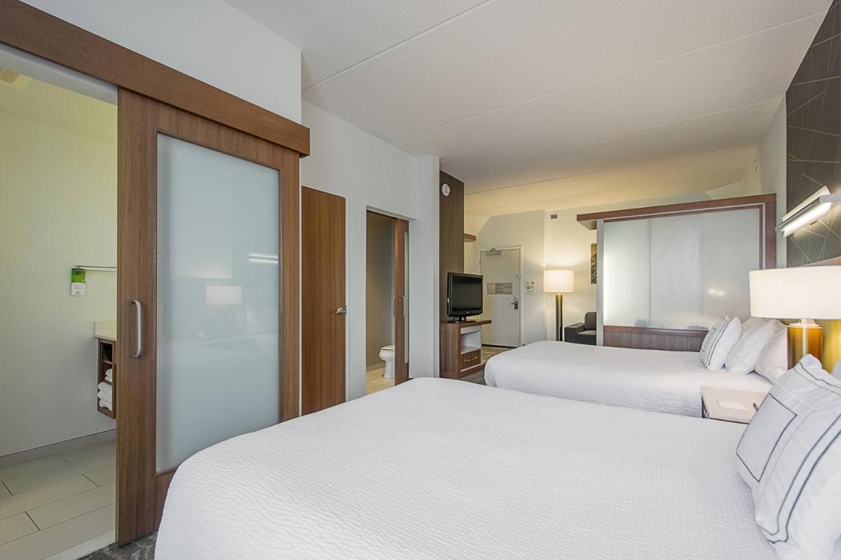 SpringHill Suites Tampa North/Tampa Palms - image 7