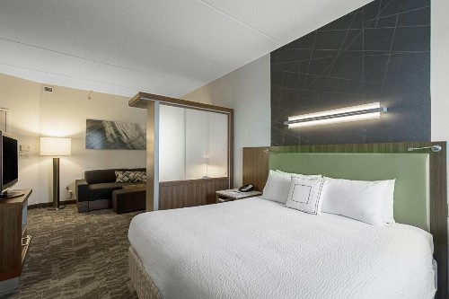 SpringHill Suites Tampa North/Tampa Palms - image 9