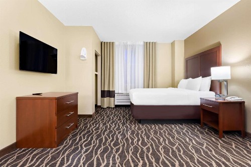 Comfort Suites Tampa Airport North - image 12