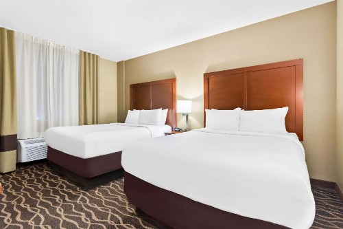 Comfort Suites Tampa Airport North - image 17