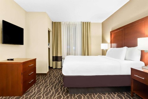 Comfort Suites Tampa Airport North - image 19