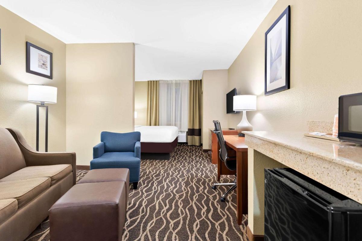 Comfort Suites Tampa Airport North - image 2