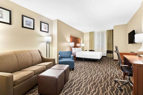 Comfort Suites Tampa Airport North - image 20