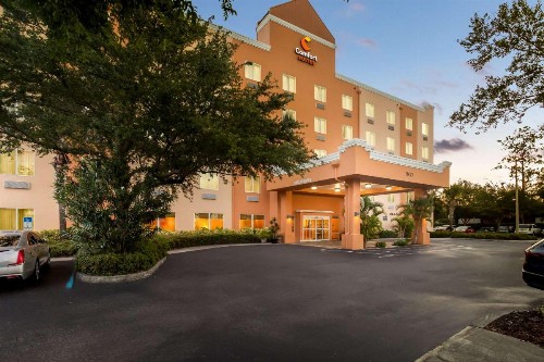 Comfort Suites Tampa Airport North - image 4